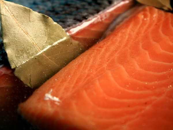 Basic Brine For Smoked Salmon - Smoker-Cooking.com